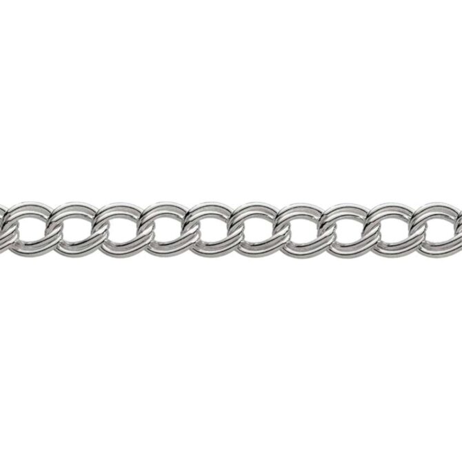 Sterling Silver Twin Chain