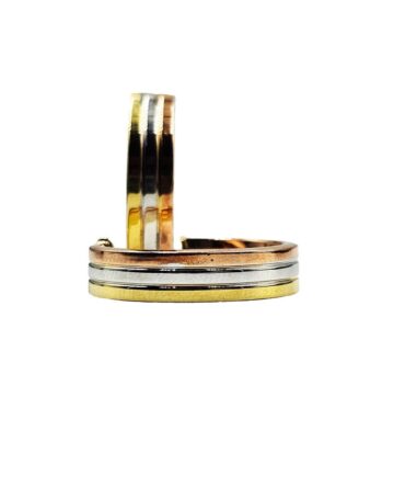 9Kt 3-Color Hoop Earrings (L)